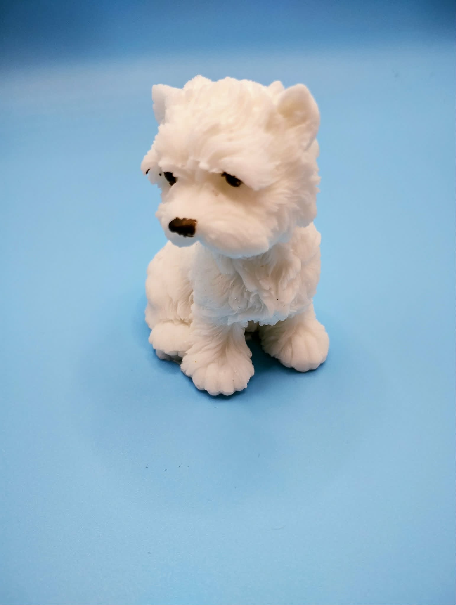 Westies